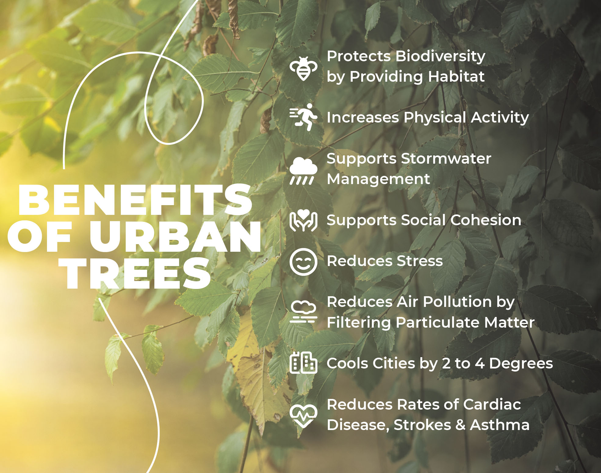 Benefits of Ubran Trees