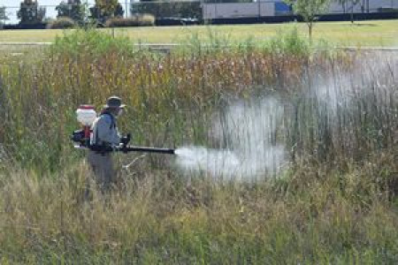 Man fogging in public areas