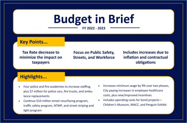 Budget in brief key points and higlights